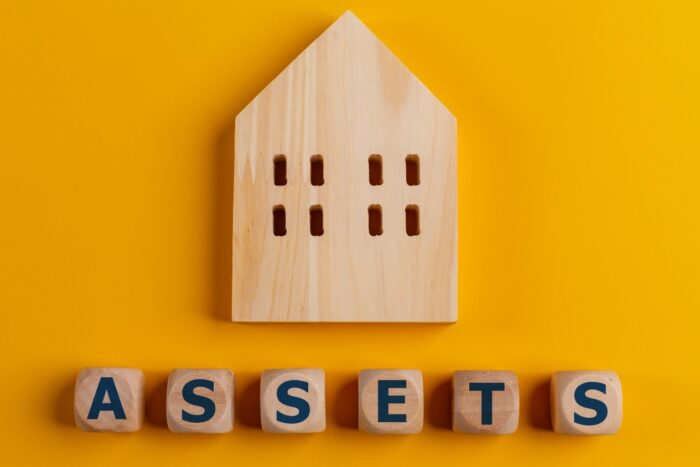 the-word-assets-written-on-wooden-cubes-with-asset-2023-11-27-04-57-26-utc (1)